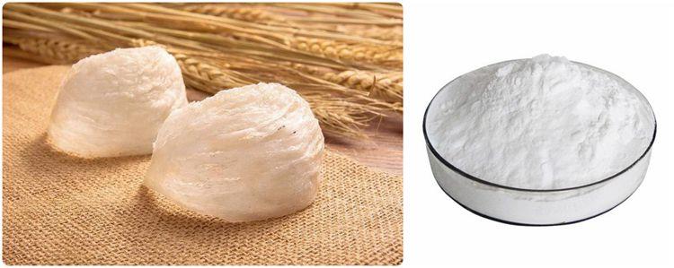 Sialic Acid Powder