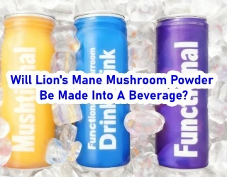 Zal Lion's Mane-champignonpoeder in een drankje worden verwerkt?