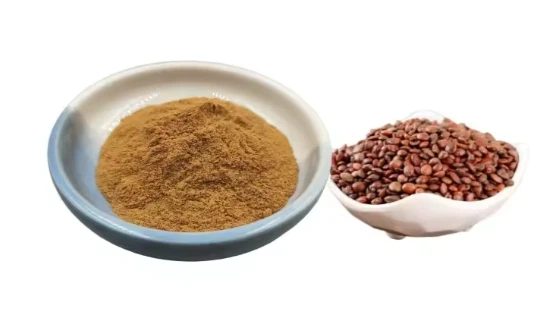 Semen Ziziphi Spinosae Powder Semen Ziziphi Spinosae Powder