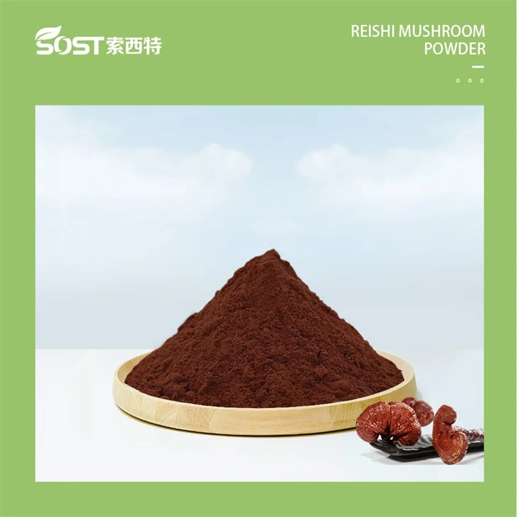 Reishi Mushroom Extract Wholesale