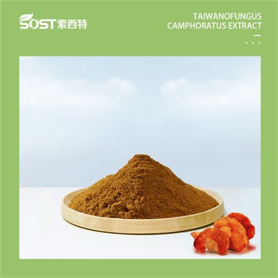 Taiwanofungus camphoratus extract