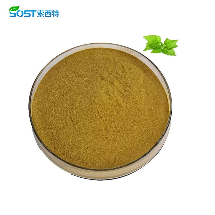 Nettle Extract Powder