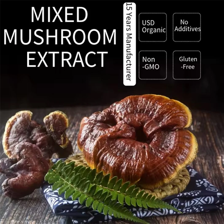 Reishi Mushroom Extract Wholesale