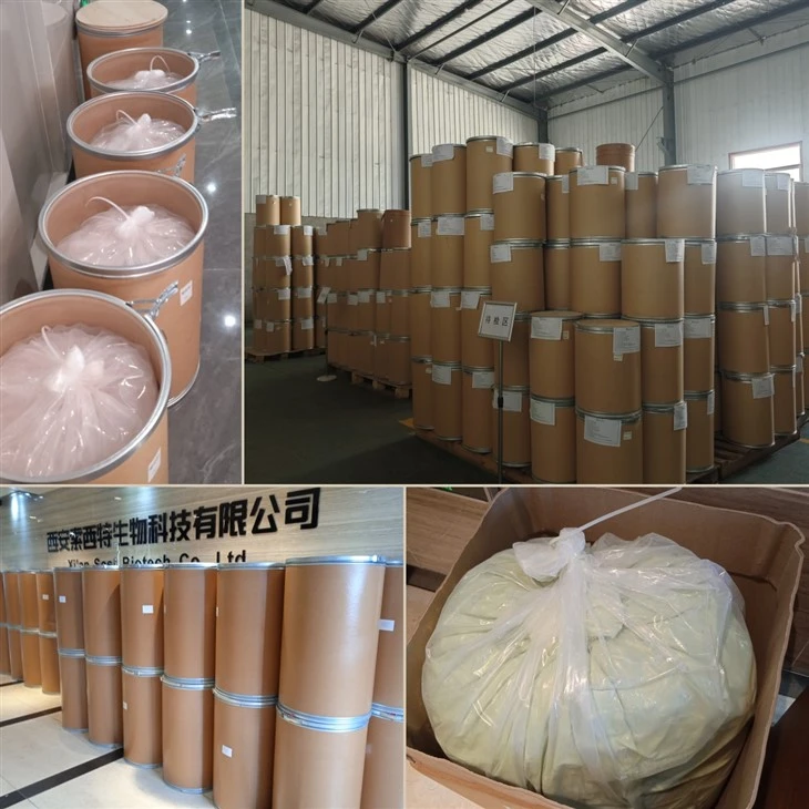 Cornus Officinalis Extract factory