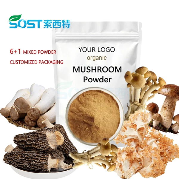 Red Reishi Mushroom Extract Polysaccharide high quality